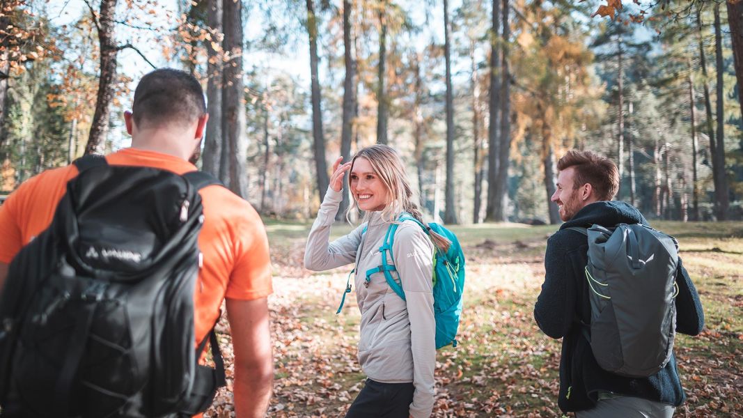 Gruppo di amici in escursione autunnale in un bosco della Val Pusteria